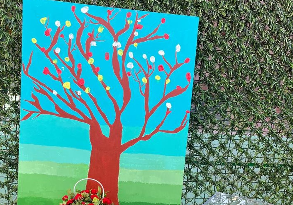 photo_3_2025-10-11_15-15-37 - Copy photo_3_2025-10-11_15-15-37 - Copy